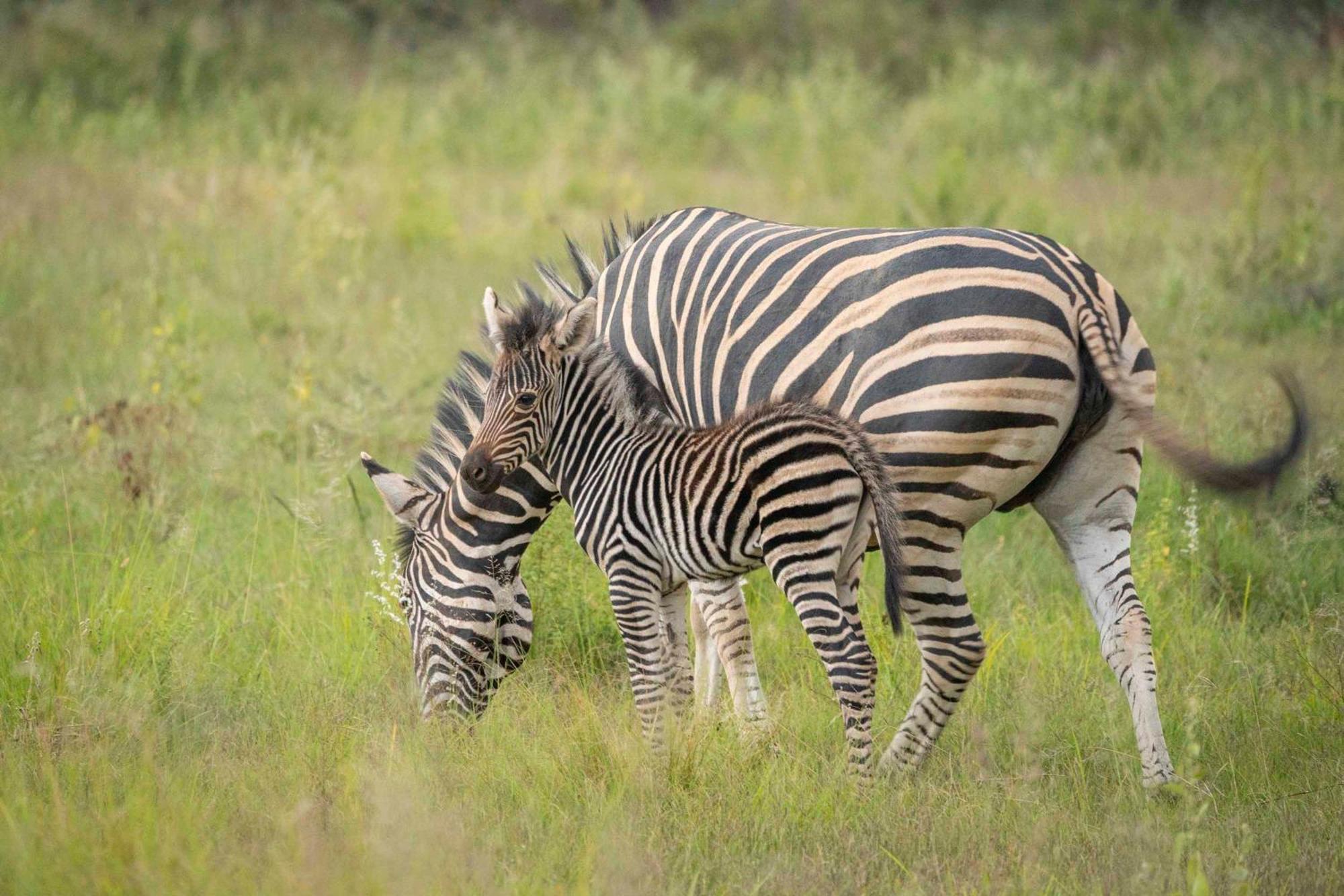 Ekuthuleni Lodge Strand Eksteriør billede