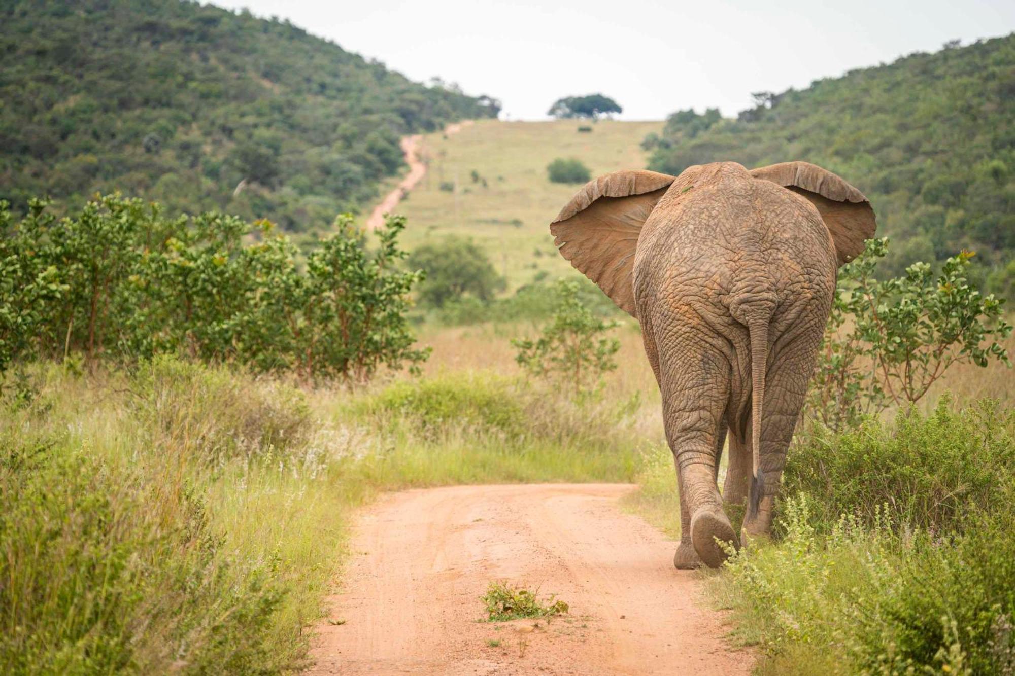 Ekuthuleni Lodge Strand Eksteriør billede